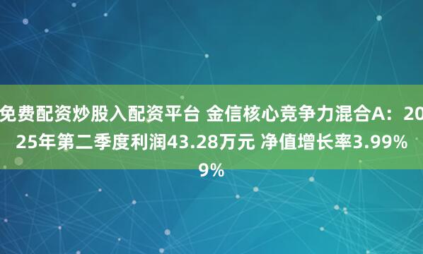 免费配资炒股入配资平台 金信核心竞争力混合A：2025年第二季度利润43.28万元 净值增长率3.99%