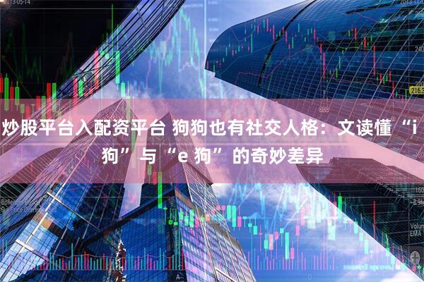 炒股平台入配资平台 狗狗也有社交人格：文读懂 “i 狗” 与 “e 狗” 的奇妙差异